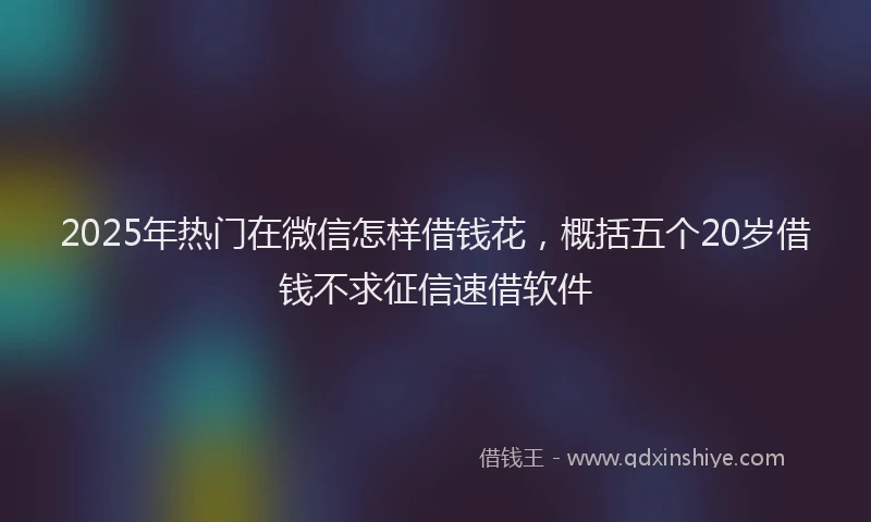 2025年热门在微信怎样借钱花，概括五个20岁借钱不求征信速借软件