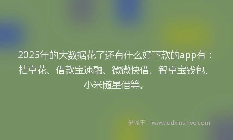 2025年的大数据花了还有什么好下款的app有：桔享花、借款宝速融、微微快借、智享宝钱包、小米随星借等。