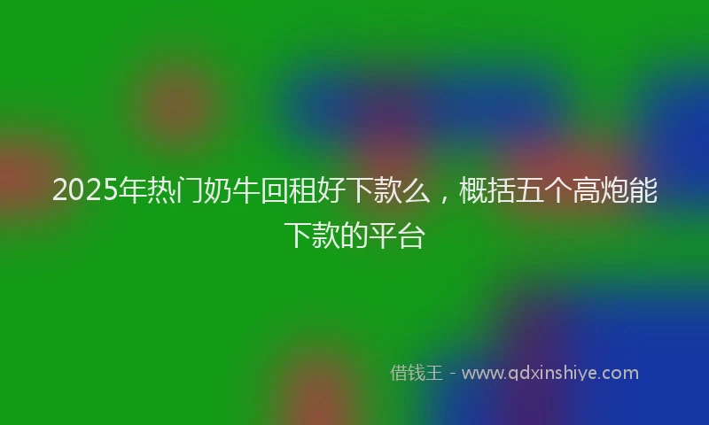 2025年热门奶牛回租好下款么，概括五个高炮能下款的平台