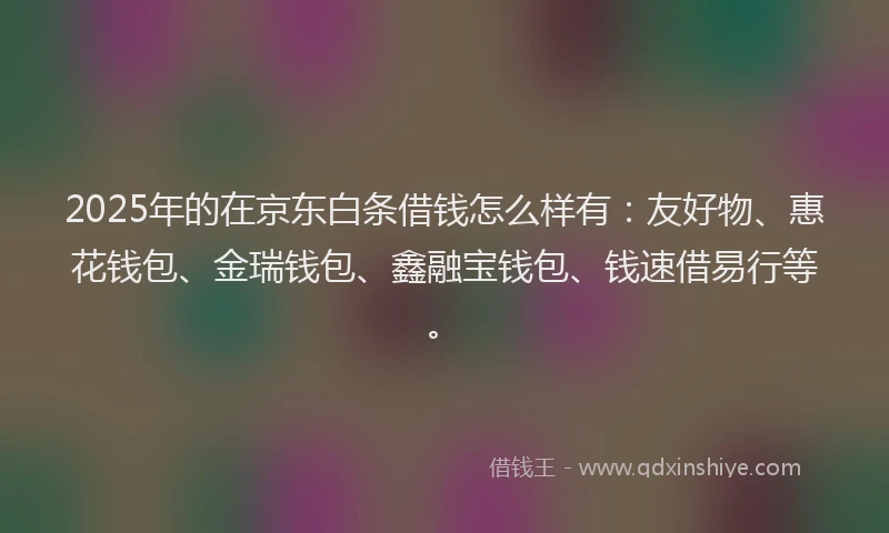 2025年的在京东白条借钱怎么样有：友好物、惠花钱包、金瑞钱包、鑫融宝钱包、钱速借易行等。