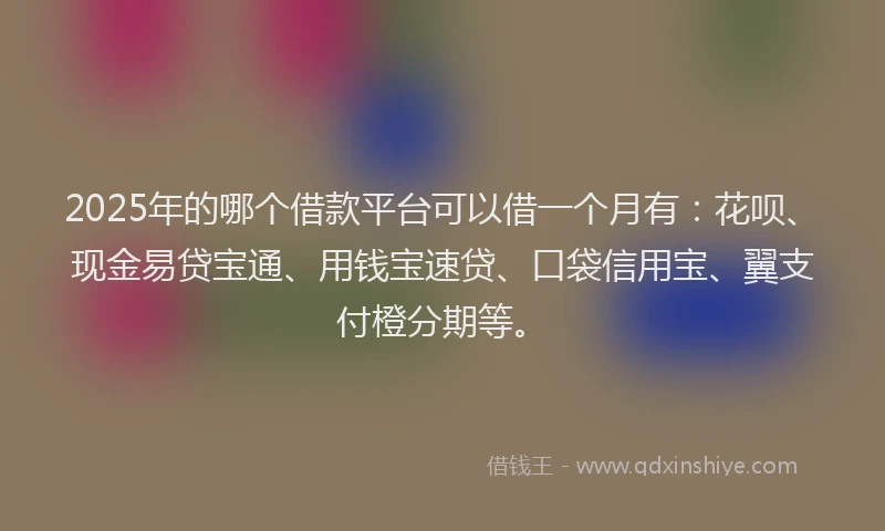 2025年的哪个借款平台可以借一个月有：花呗、现金易贷宝通、用钱宝速贷、口袋信用宝、翼支付橙分期等。