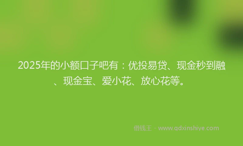 2025年的小额口子吧有：优投易贷、现金秒到融、现金宝、爱小花、放心花等。