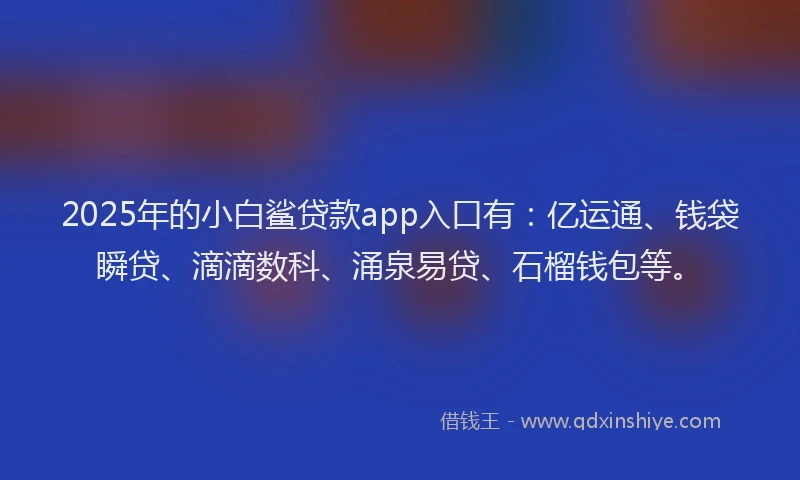 2025年的小白鲨贷款app入口有:亿运通、钱袋瞬贷、滴滴数科、涌泉易贷、石榴钱包等。