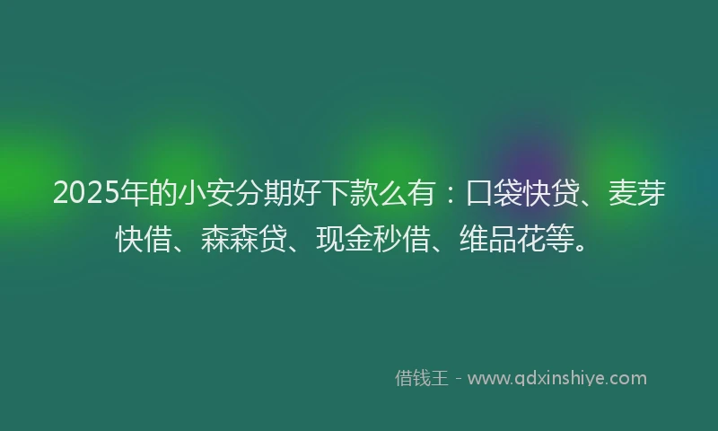2025年的小安分期好下款么有：口袋快贷、麦芽快借、森森贷、现金秒借、维品花等。