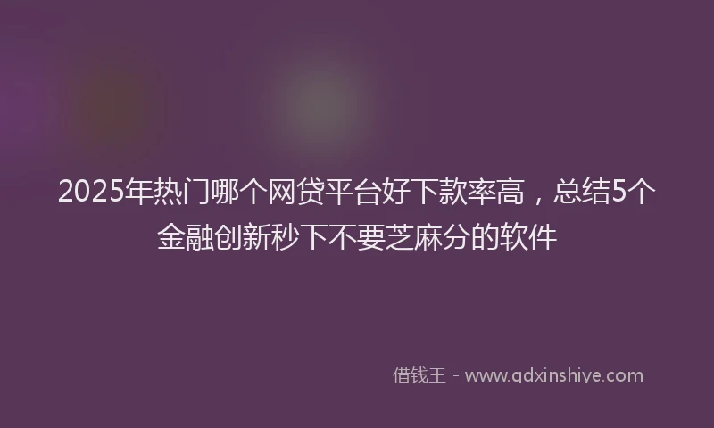 2025年热门哪个网贷平台好下款率高，总结5个金融创新秒下不要芝麻分的软件