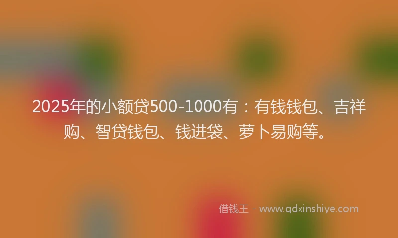 2025年的小额贷500-1000有：有钱钱包、吉祥购、智贷钱包、钱进袋、萝卜易购等。