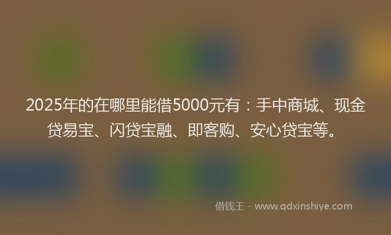 2025年的在哪里能借5000元有：手中商城、现金贷易宝、闪贷宝融、即客购、安心贷宝等。