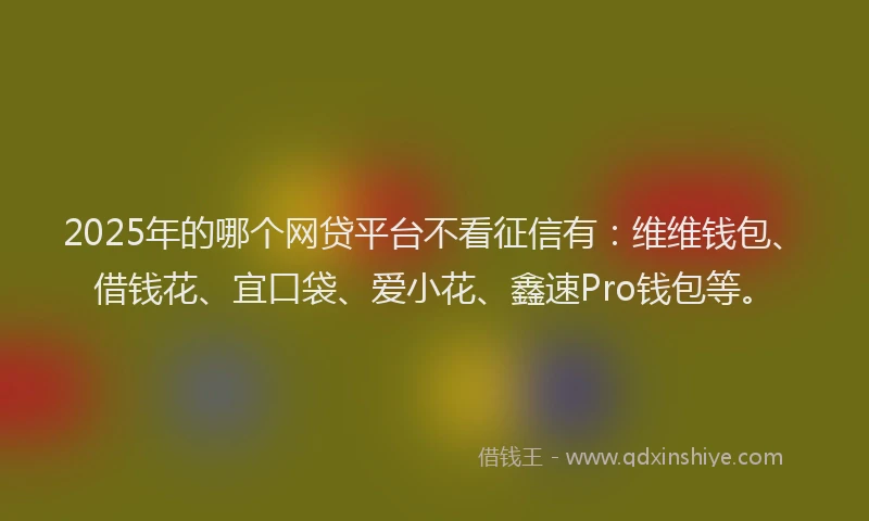 2025年的哪个网贷平台不看征信有：维维钱包、借钱花、宜口袋、爱小花、鑫速Pro钱包等。