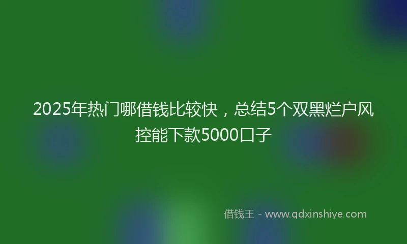 2025年热门哪借钱比较快，总结5个双黑烂户风控能下款5000口子