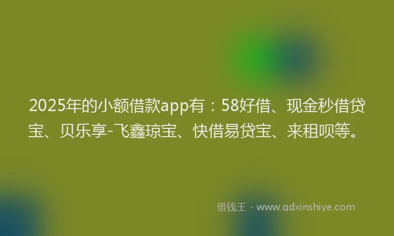 2025年的小额借款app有：58好借、现金秒借贷宝、贝乐享-飞鑫琼宝、快借易贷宝、来租呗等。