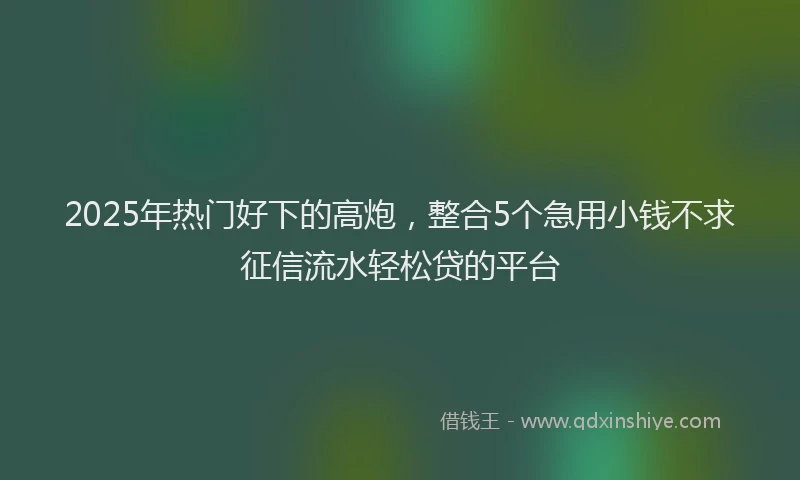 2025年热门好下的高炮，整合5个急用小钱不求征信流水轻松贷的平台