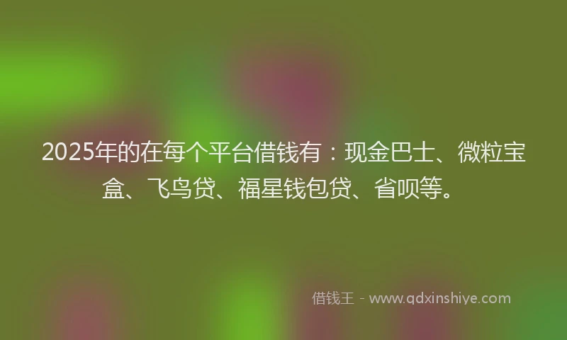 2025年的在每个平台借钱有：现金巴士、微粒宝盒、飞鸟贷、福星钱包贷、省呗等。