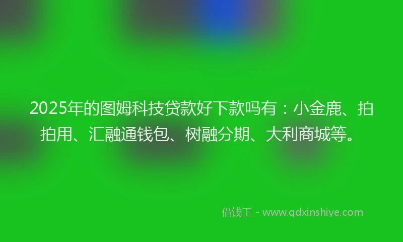 2025年的图姆科技贷款好下款吗有：小金鹿、拍拍用、汇融通钱包、树融分期、大利商城等。
