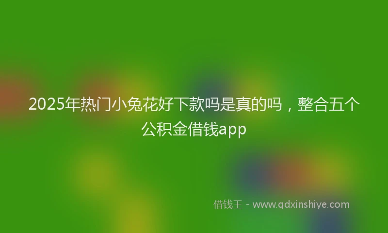 2025年热门小兔花好下款吗是真的吗，整合五个公积金借钱app