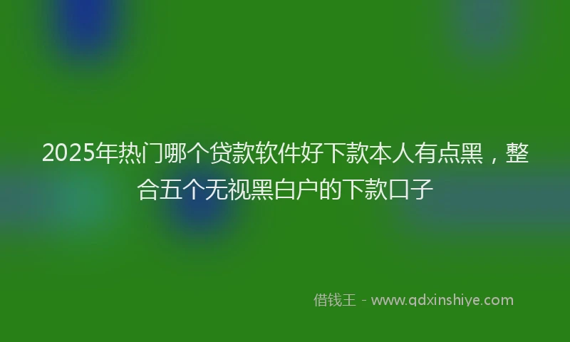 2025年热门哪个贷款软件好下款本人有点黑，整合五个无视黑白户的下款口子