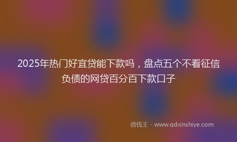 2025年热门好宜贷能下款吗，盘点五个不看征信负债的网贷百分百下款口子