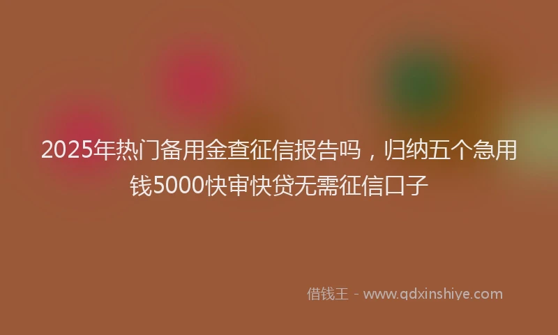 2025年热门备用金查征信报告吗，归纳五个急用钱5000快审快贷无需征信口子