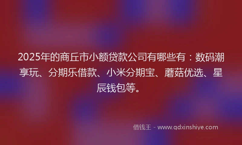 2025年的商丘市小额贷款公司有哪些有：数码潮享玩、分期乐借款、小米分期宝、蘑菇优选、星辰钱包等。