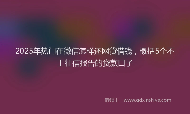 2025年热门在微信怎样还网贷借钱，概括5个不上征信报告的贷款口子