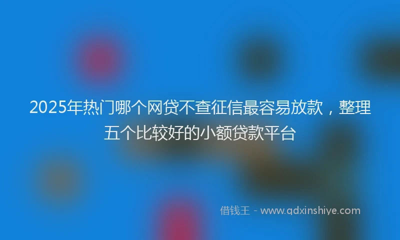2025年热门哪个网贷不查征信最容易放款，整理五个比较好的小额贷款平台