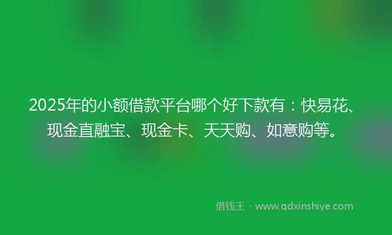 2025年的小额借款平台哪个好下款有：快易花、现金直融宝、现金卡、天天购、如意购等。