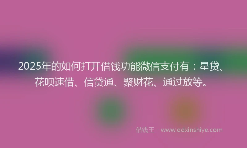 2025年的如何打开借钱功能微信支付有：星贷、花呗速借、信贷通、聚财花、通过放等。