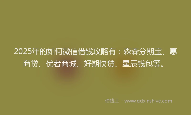 2025年的如何微信借钱攻略有：森森分期宝、惠商贷、优者商城、好期快贷、星辰钱包等。