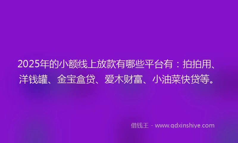 2025年的小额线上放款有哪些平台有：拍拍用、洋钱罐、金宝盒贷、爱木财富、小油菜快贷等。