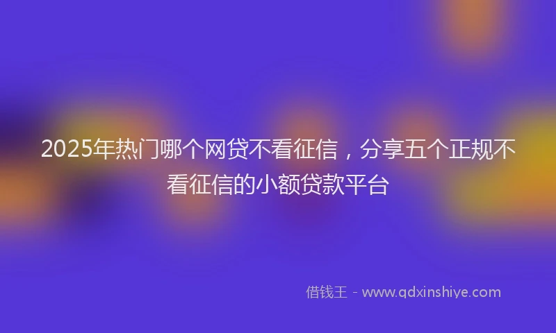 2025年热门哪个网贷不看征信，分享五个正规不看征信的小额贷款平台