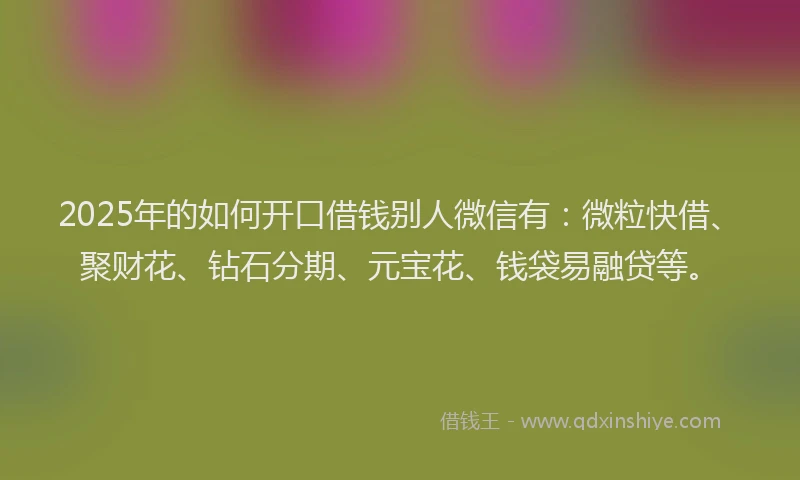 2025年的如何开口借钱别人微信有：微粒快借、聚财花、钻石分期、元宝花、钱袋易融贷等。