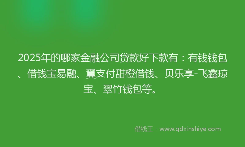 2025年的哪家金融公司贷款好下款有：有钱钱包、借钱宝易融、翼支付甜橙借钱、贝乐享-飞鑫琼宝、翠竹钱包等。