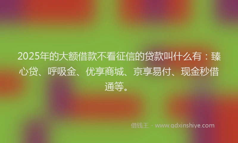 2025年的大额借款不看征信的贷款叫什么有：臻心贷、呼吸金、优享商城、京享易付、现金秒借通等。