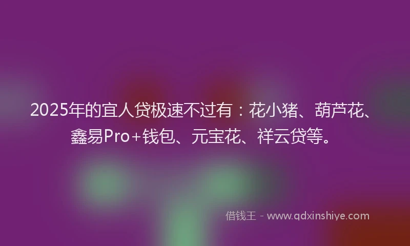 2025年的宜人贷极速不过有：花小猪、葫芦花、鑫易Pro+钱包、元宝花、祥云贷等。