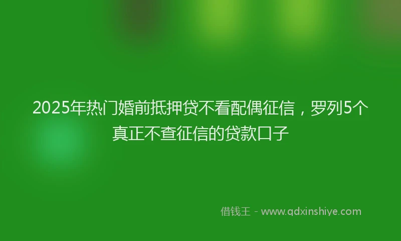 2025年热门婚前抵押贷不看配偶征信，罗列5个真正不查征信的贷款口子