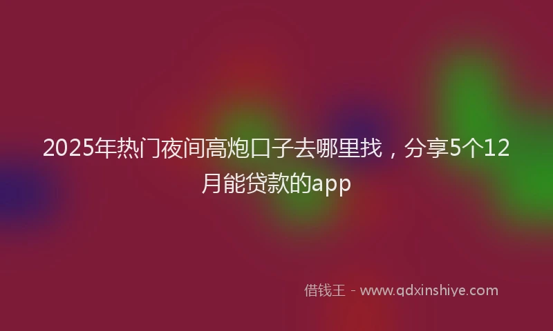 2025年热门夜间高炮口子去哪里找，分享5个12月能贷款的app