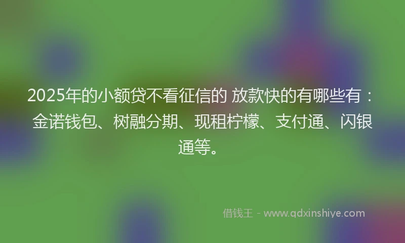 2025年的小额贷不看征信的 放款快的有哪些有：金诺钱包、树融分期、现租柠檬、支付通、闪银通等。