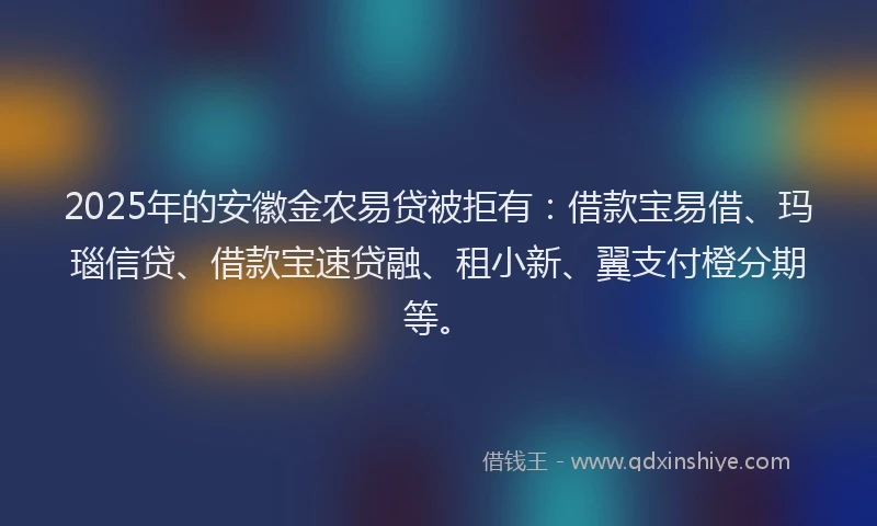 2025年的安徽金农易贷被拒有：借款宝易借、玛瑙信贷、借款宝速贷融、租小新、翼支付橙分期等。