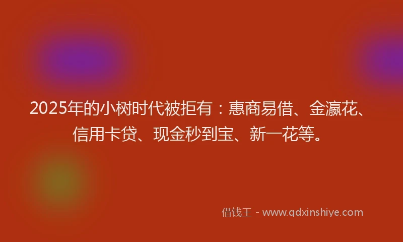 2025年的小树时代被拒有：惠商易借、金瀛花、信用卡贷、现金秒到宝、新一花等。