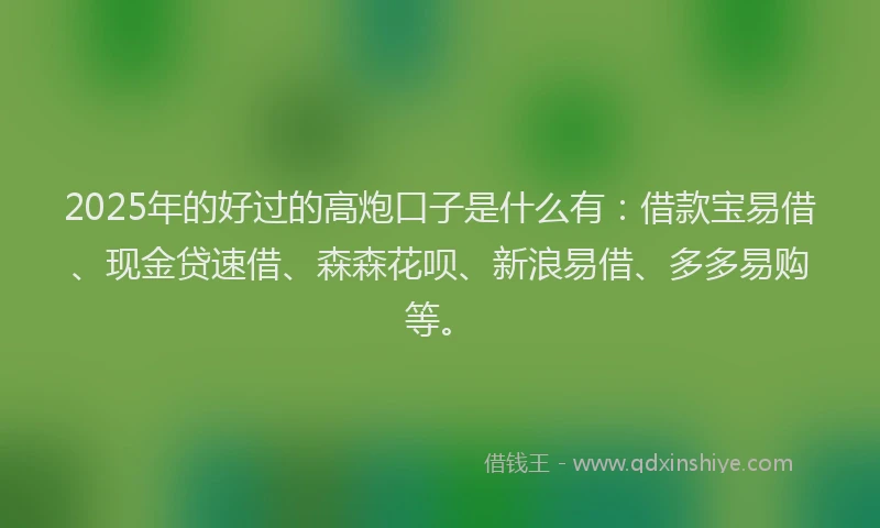 2025年的好过的高炮口子是什么有：借款宝易借、现金贷速借、森森花呗、新浪易借、多多易购等。