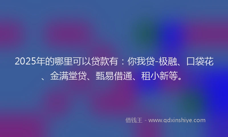 2025年的哪里可以贷款有：你我贷-极融、口袋花、金满堂贷、甄易借通、租小新等。