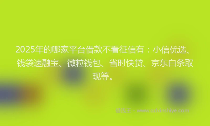 2025年的哪家平台借款不看征信有：小信优选、钱袋速融宝、微粒钱包、省时快贷、京东白条取现等。
