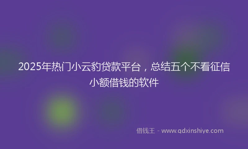 2025年热门小云豹贷款平台,总结五个不看征信小额借钱的软件