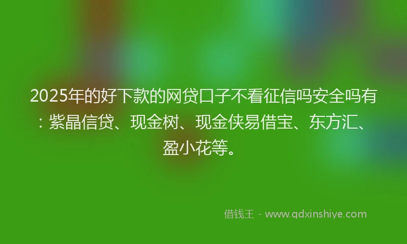 2025年的好下款的网贷口子不看征信吗安全吗有：紫晶信贷、现金树、现金侠易借宝、东方汇、盈小花等。