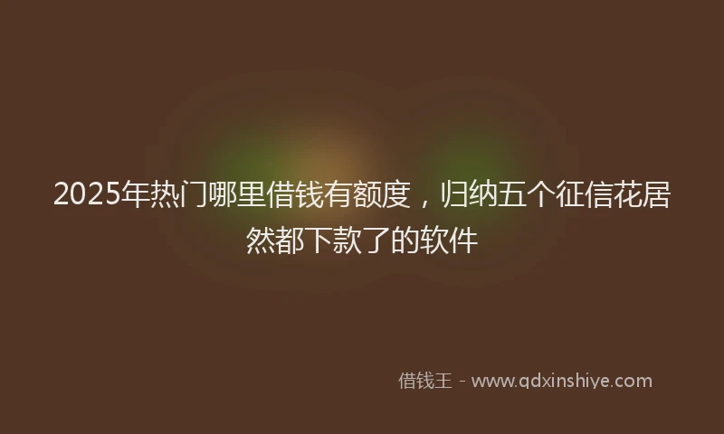 2025年热门哪里借钱有额度，归纳五个征信花居然都下款了的软件