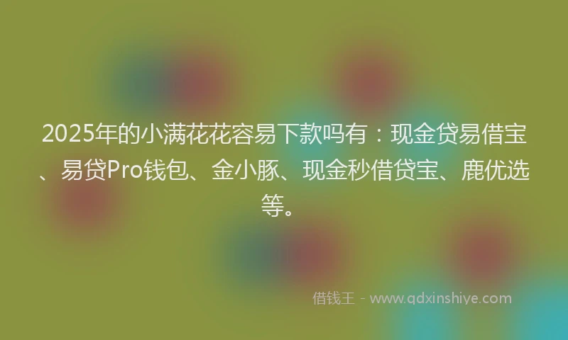 2025年的小满花花容易下款吗有:现金贷易借宝、易贷Pro钱包、金小豚、现金秒借贷宝、鹿优选等。