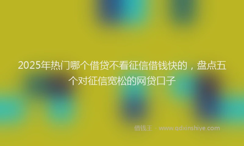 2025年热门哪个借贷不看征信借钱快的，盘点五个对征信宽松的网贷口子