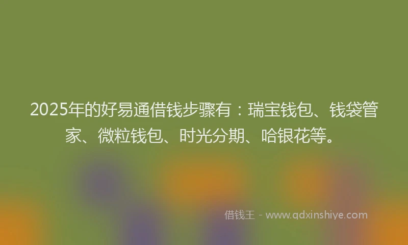 2025年的好易通借钱步骤有：瑞宝钱包、钱袋管家、微粒钱包、时光分期、哈银花等。