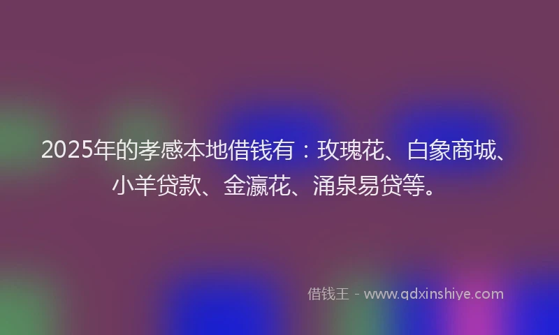 2025年的孝感本地借钱有：玫瑰花、白象商城、小羊贷款、金瀛花、涌泉易贷等。