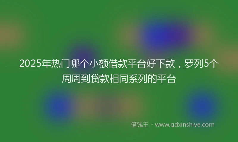 2025年热门哪个小额借款平台好下款，罗列5个周周到贷款相同系列的平台