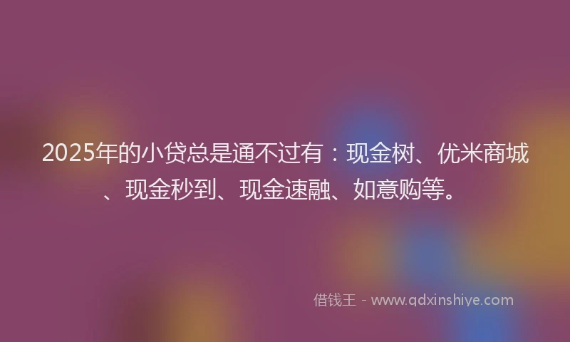 2025年的小贷总是通不过有：现金树、优米商城、现金秒到、现金速融、如意购等。